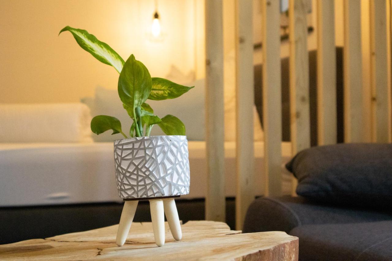 Am Seewald - Ferienwohnung Am Bodensee FDH Zewnętrze zdjęcie